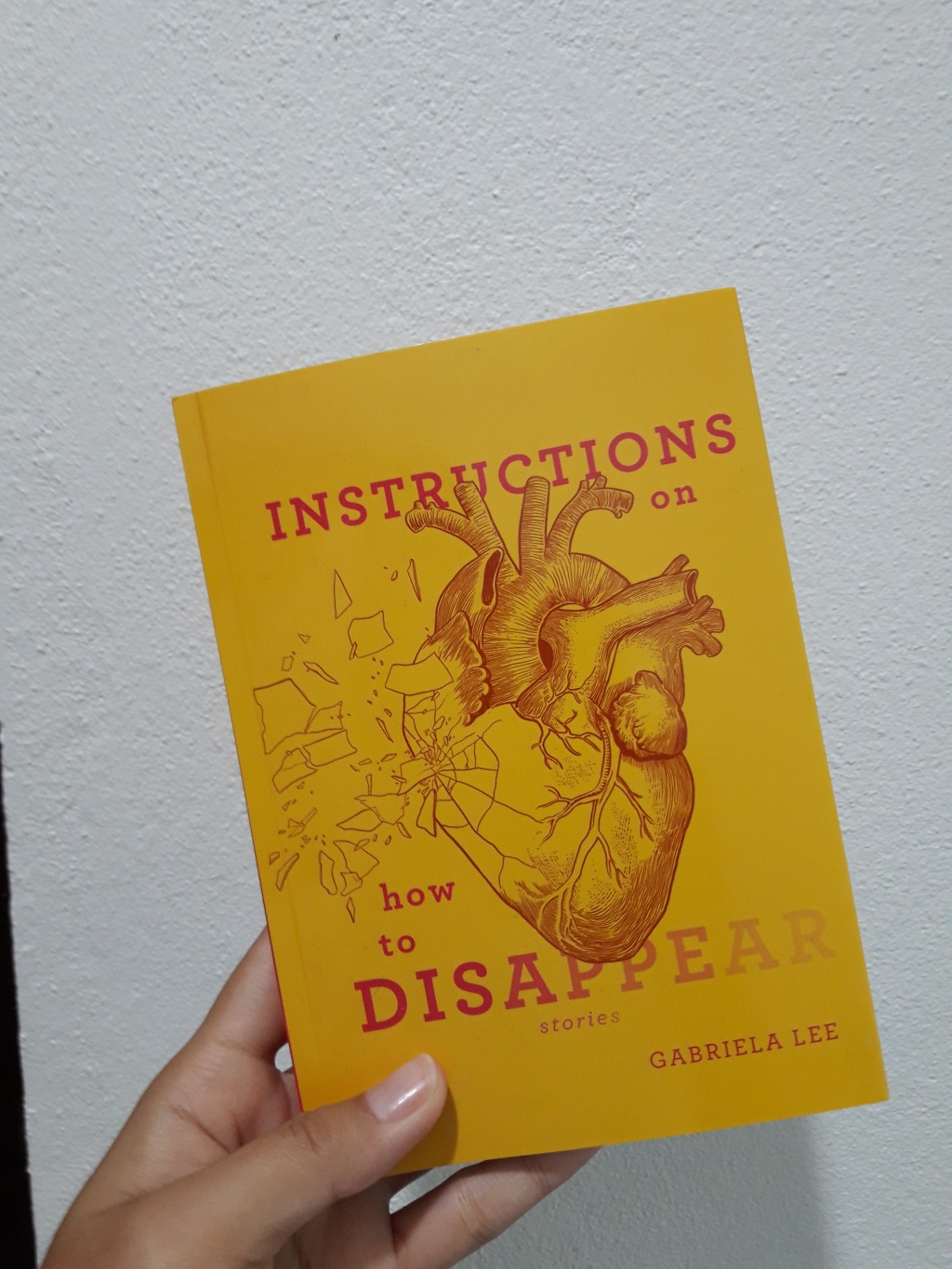 Instructions on How to Disappear by Gabriela Lee