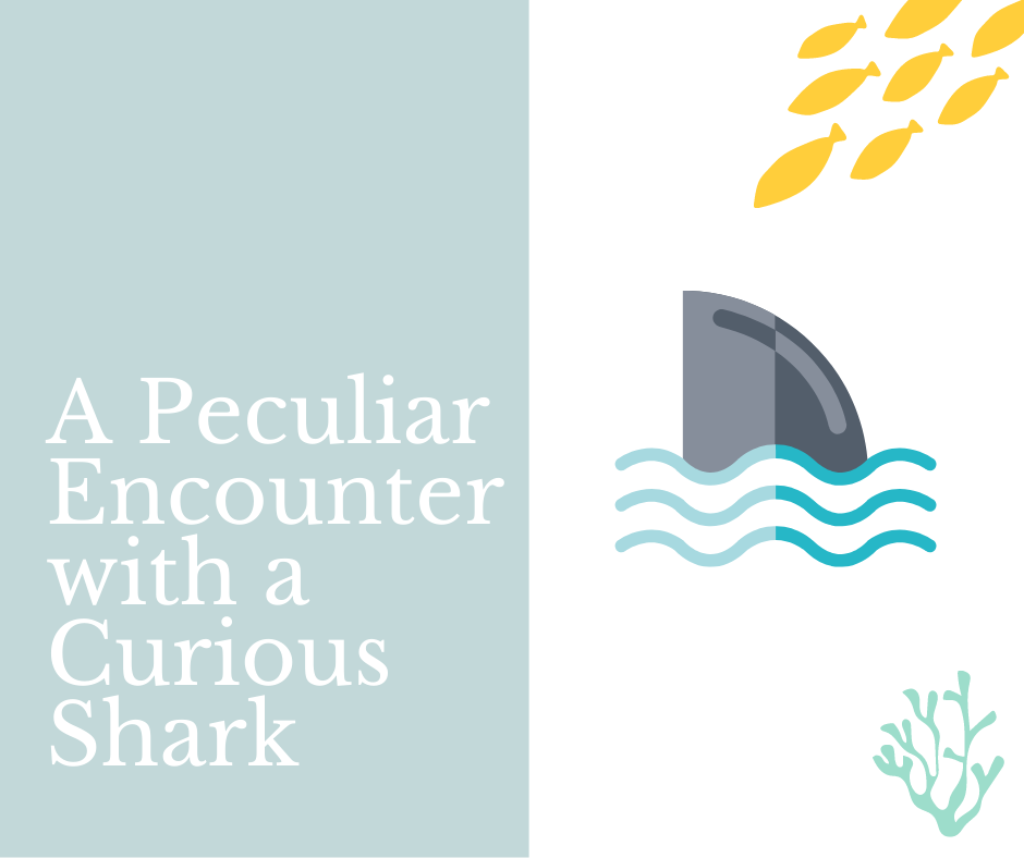 A Peculiar Encounter with a Curious Shark